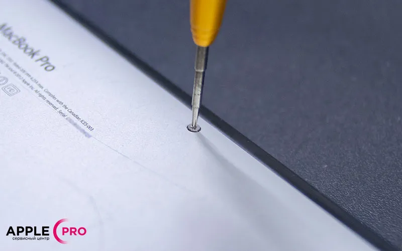 Откручиваем винты на задней крышки с помощью специальной отвертки