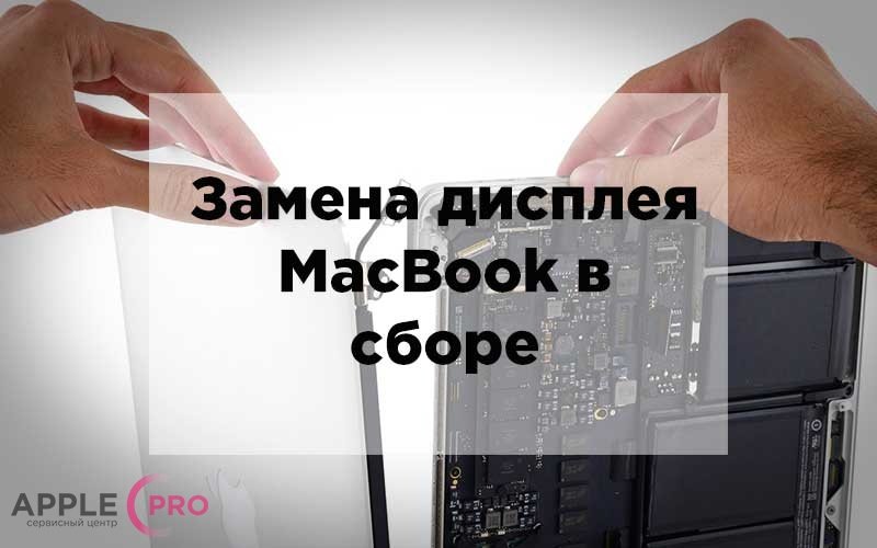 Что менять: дисплей MacBook в сборе или только матрицу? Что менять: дисплей MacBook в сборе или только матрицу?